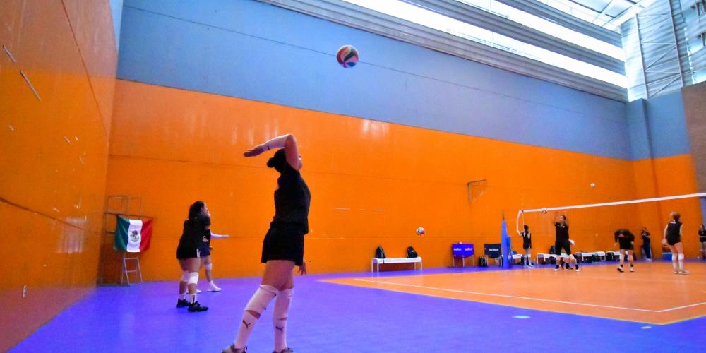 Total 74 Imagen Escuelas De Voleibol En Guadalajara Viaterra mx total-74-imagen-escuelas-de-voleibol-en-guadalajara-viaterra-mx